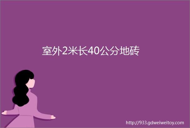 室外2米长40公分地砖